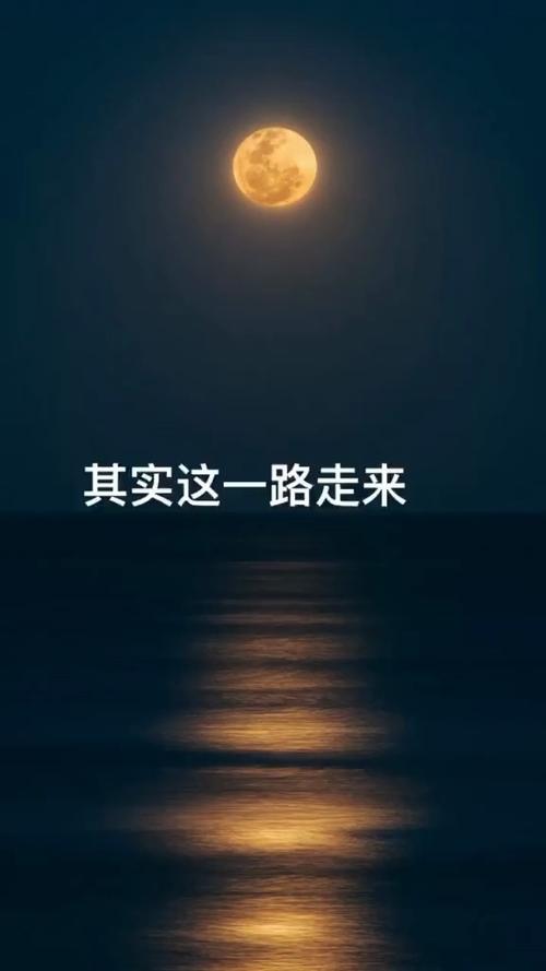 艰难岁月的历练，助力球队冲向巅峰的简单介绍